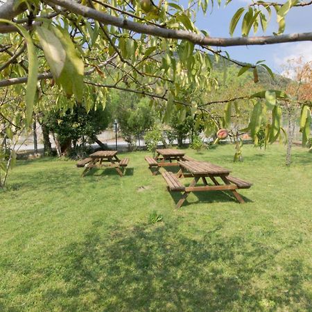 Residence Riviera Mare Pietra Ligure Dış mekan fotoğraf